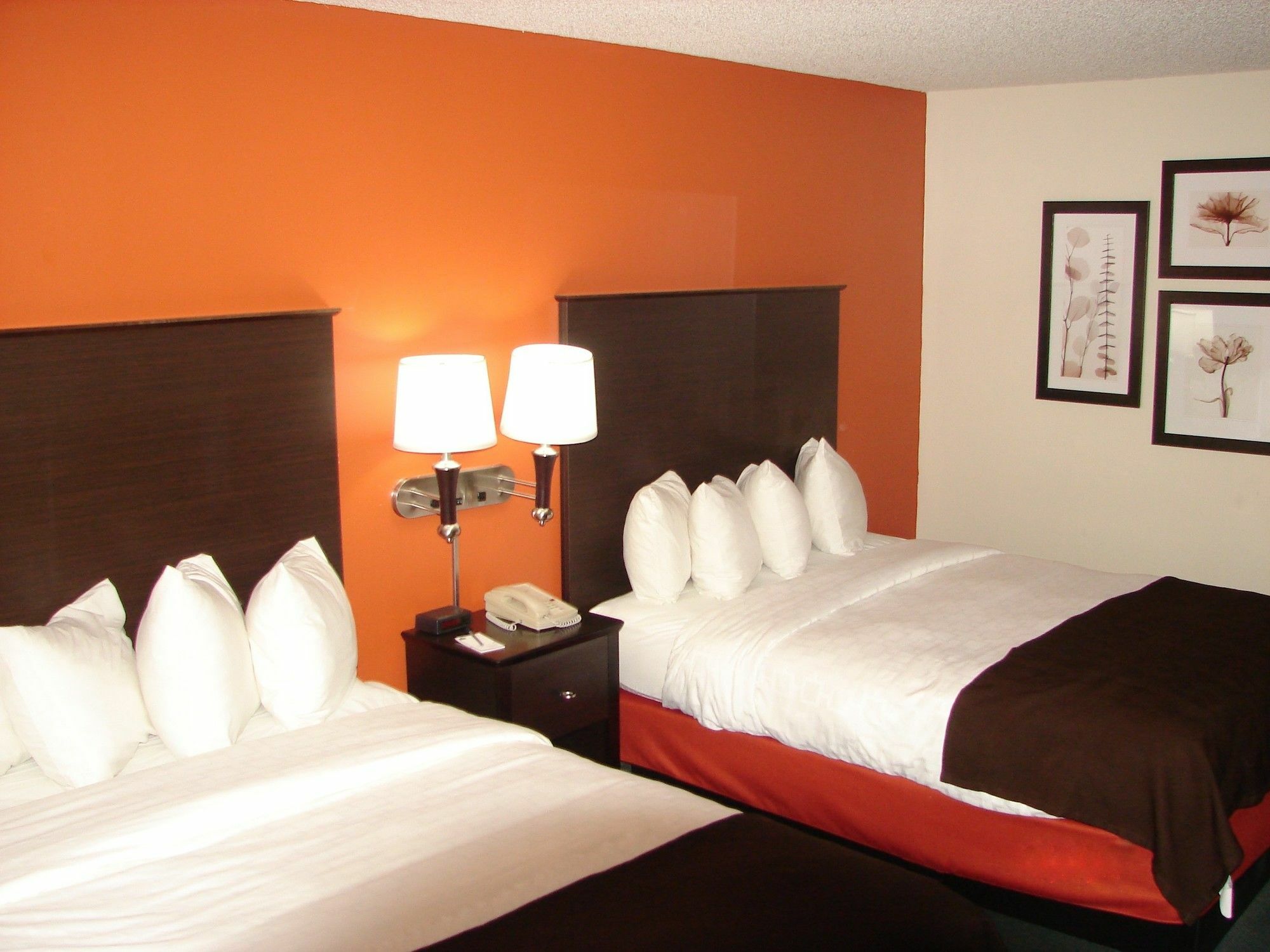 Sleep Inn & Suites Salina I-135 מראה חיצוני תמונה